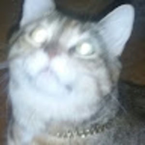 Meet your Posher, Ken